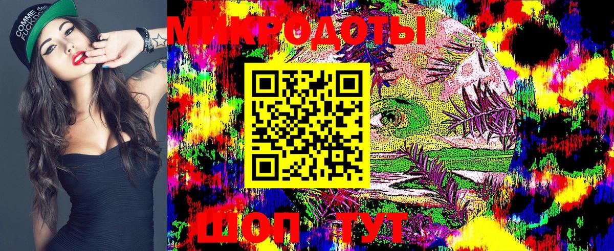 Самара  Псилоцибиновые грибы Magic Shrooms  Вход с VPN  купить закладку  Галлюциногенные грибы прущие грибы 