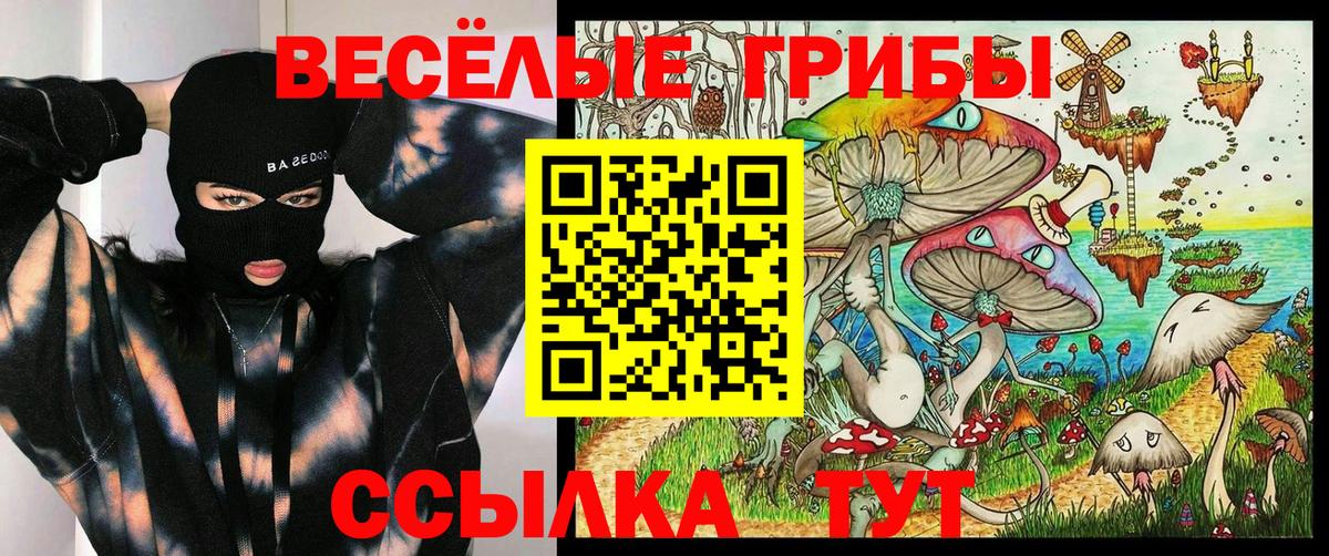 Галлюциногенные грибы Psilocybine cubensis Самара